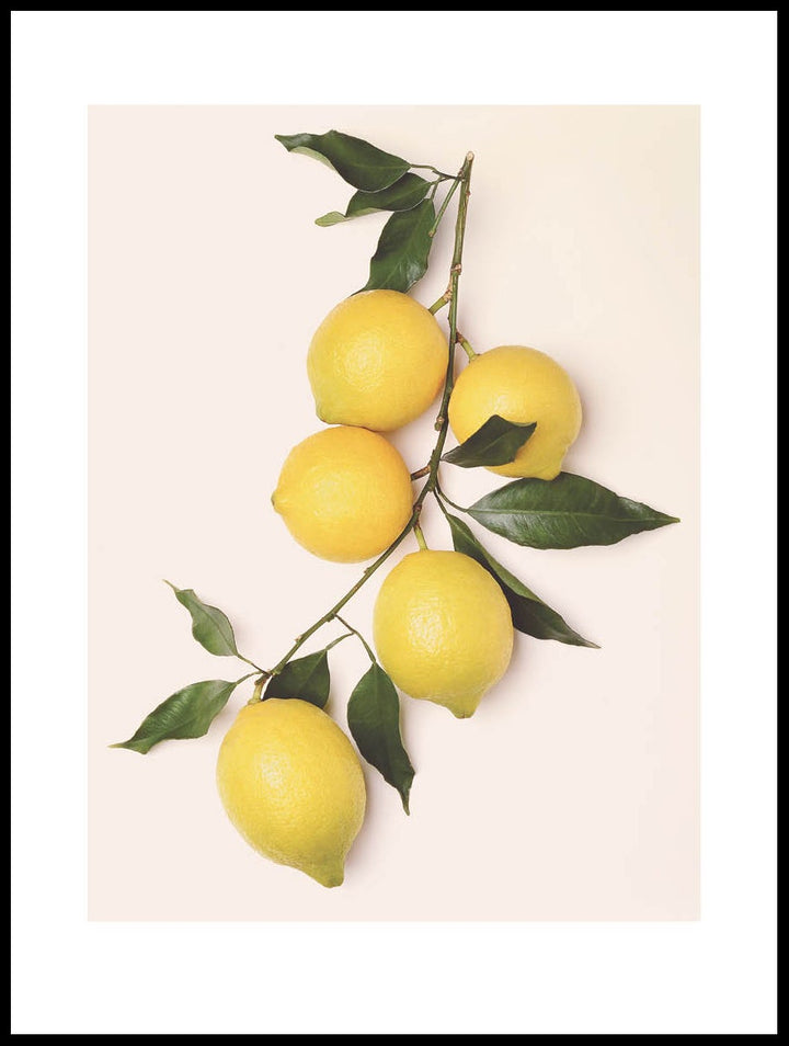 Lemons Poster