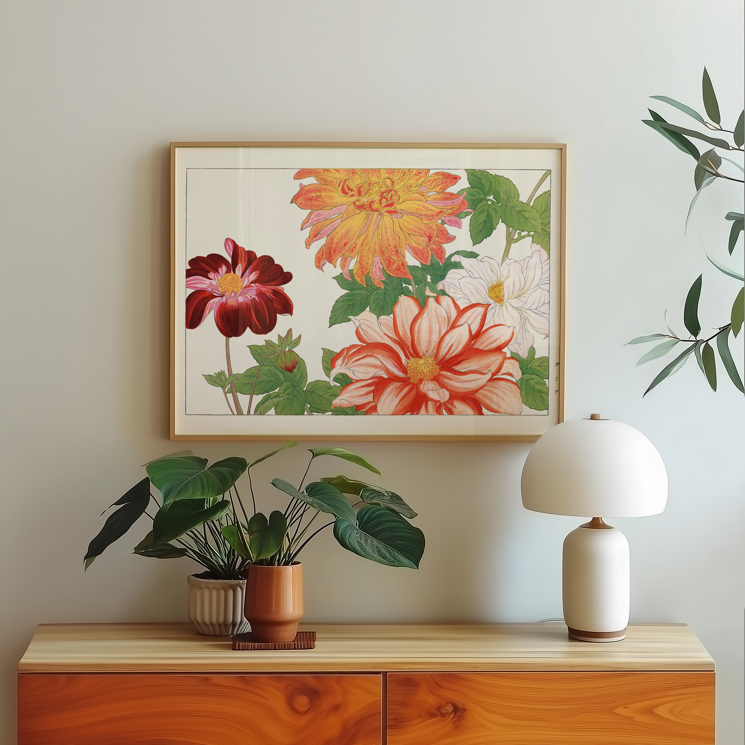 Dahlia flower