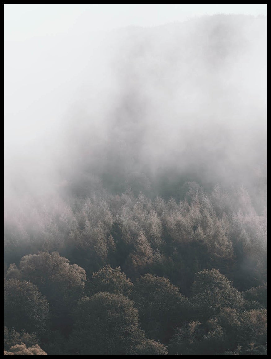 Fog Over Trees Poster