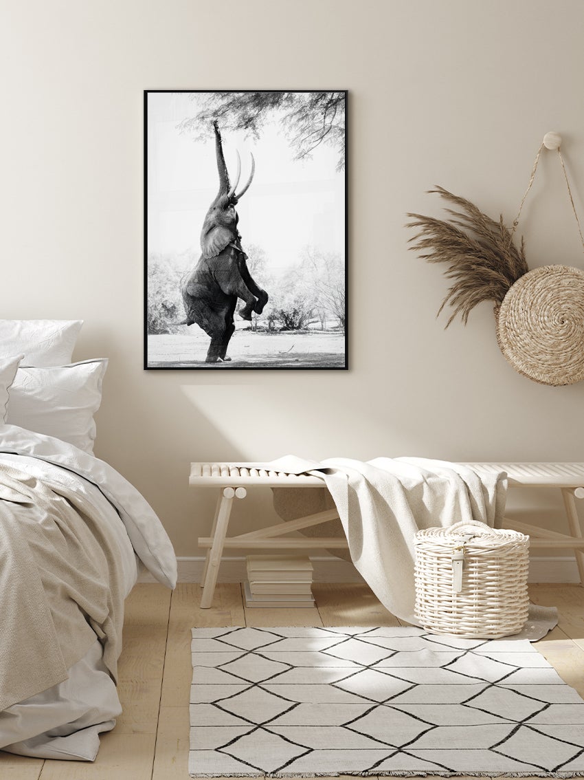 Elephant Eating Leaves Poster