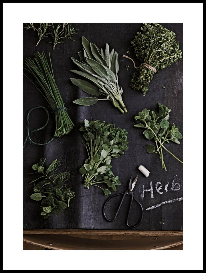 Fresh Herbs Poster