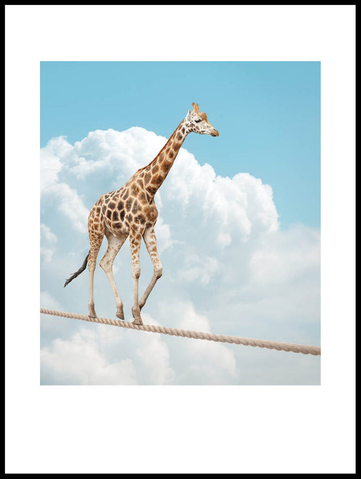 Giraffe On Tightrope Poster