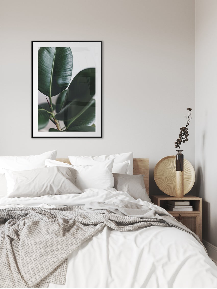 Green Fig Leaves Poster