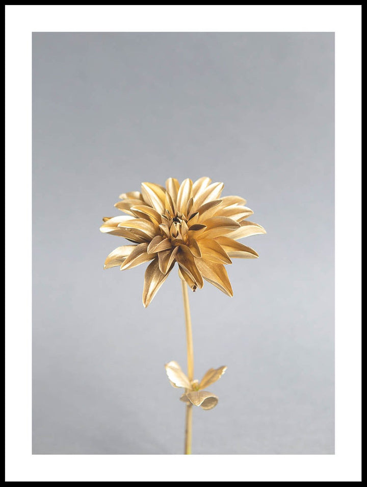 Golden Flower Poster