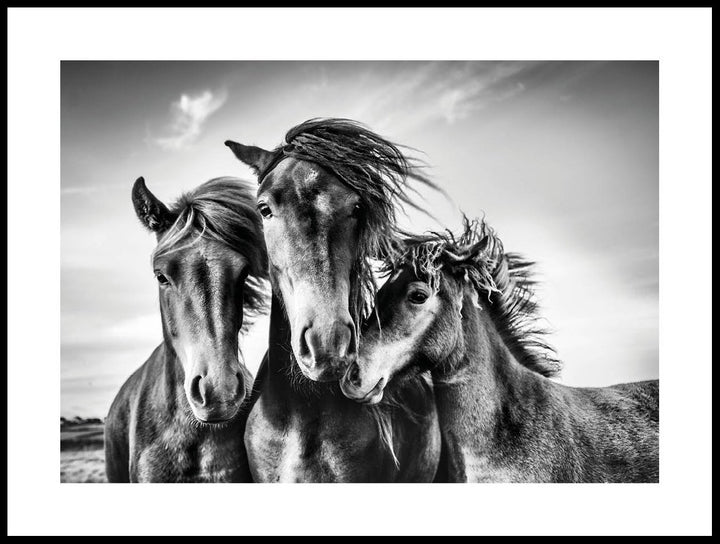 Horses Poster