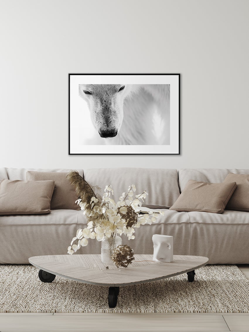 Polar Bear Poster