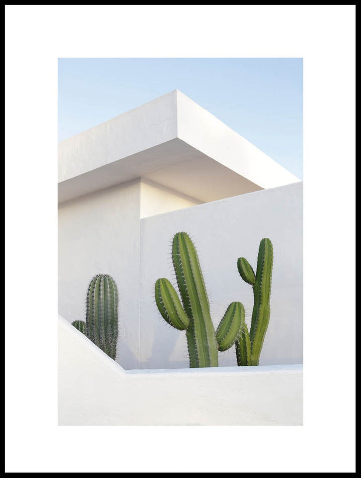 Cacti And Architecture Poster