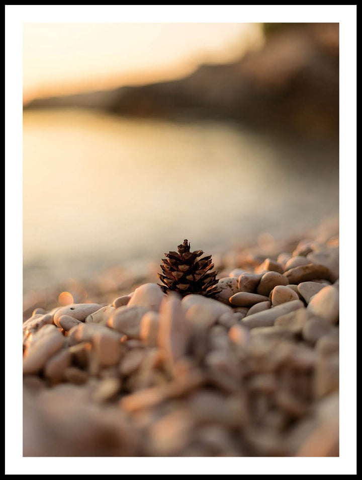 Pine Cone On Beach Poster