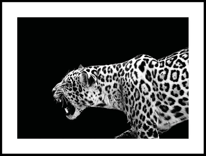 Leopard Poster