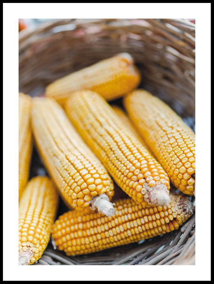 Corn In Basket Poster