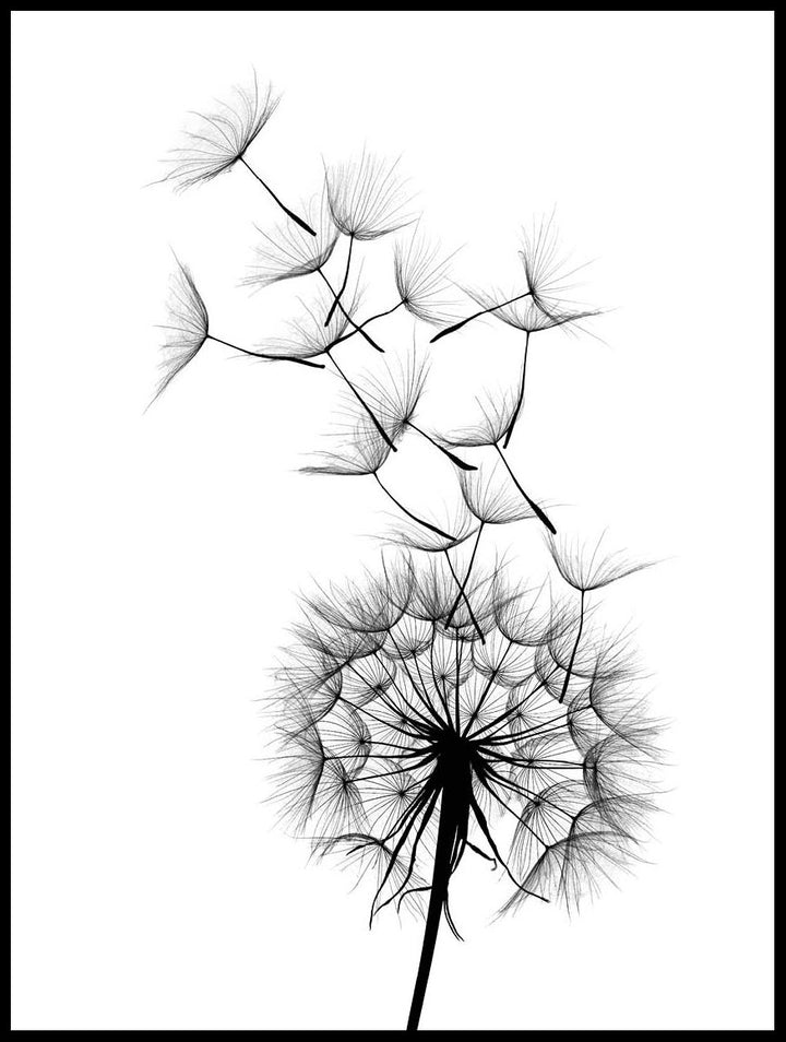 Dandelion Poster