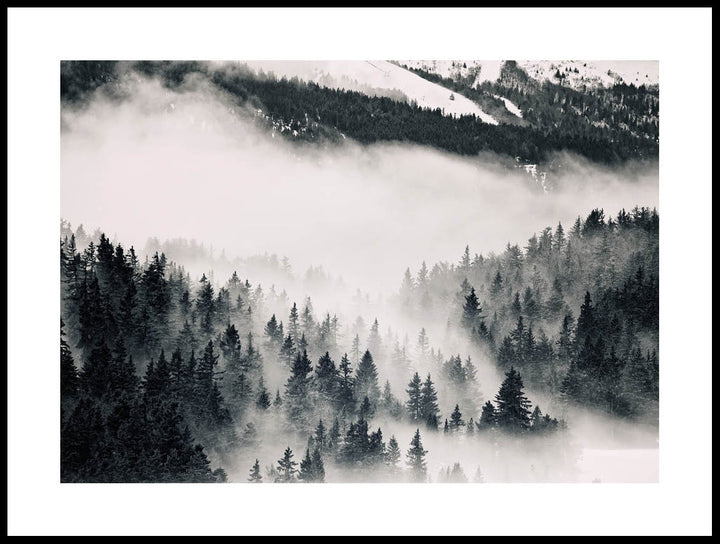 Fog In Forest Poster