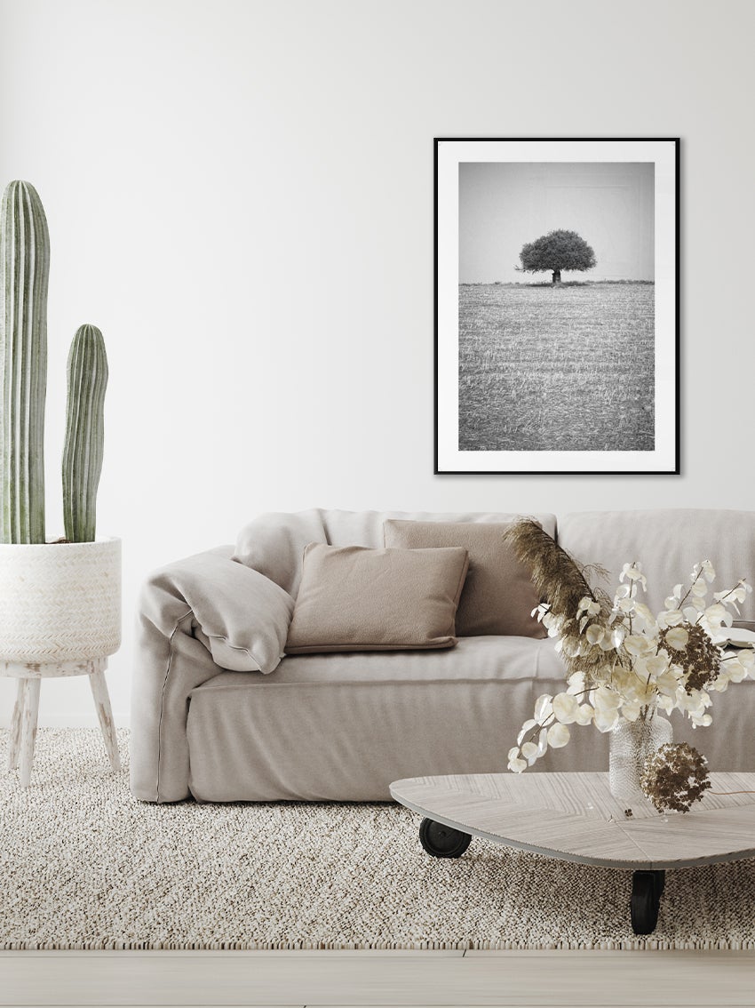 Olive Tree Poster