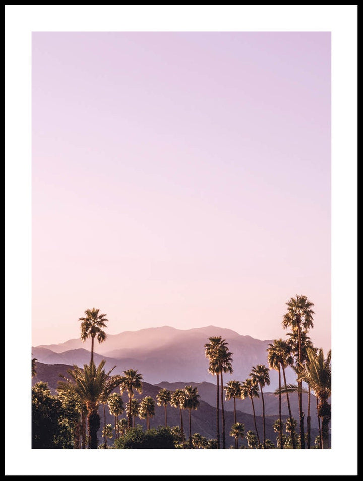 Palm Springs Landscape Poster