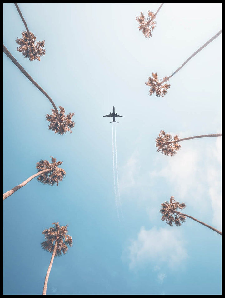 Palms And Aeroplane Poster