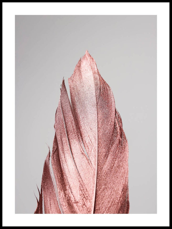 Rose Gold Feather Poster