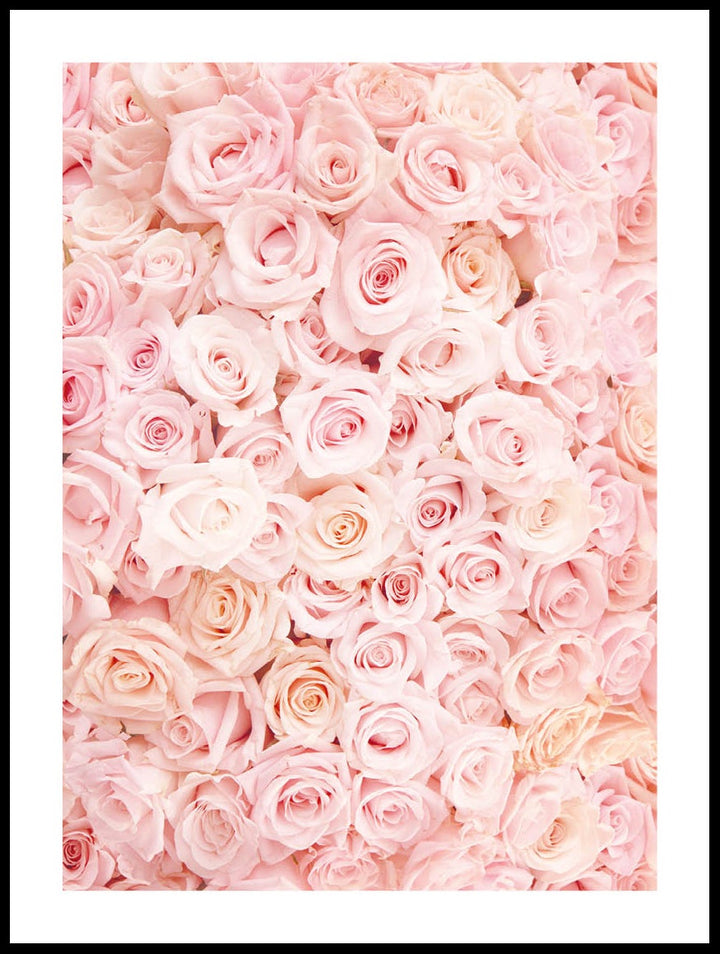 Bed Of Roses Poster