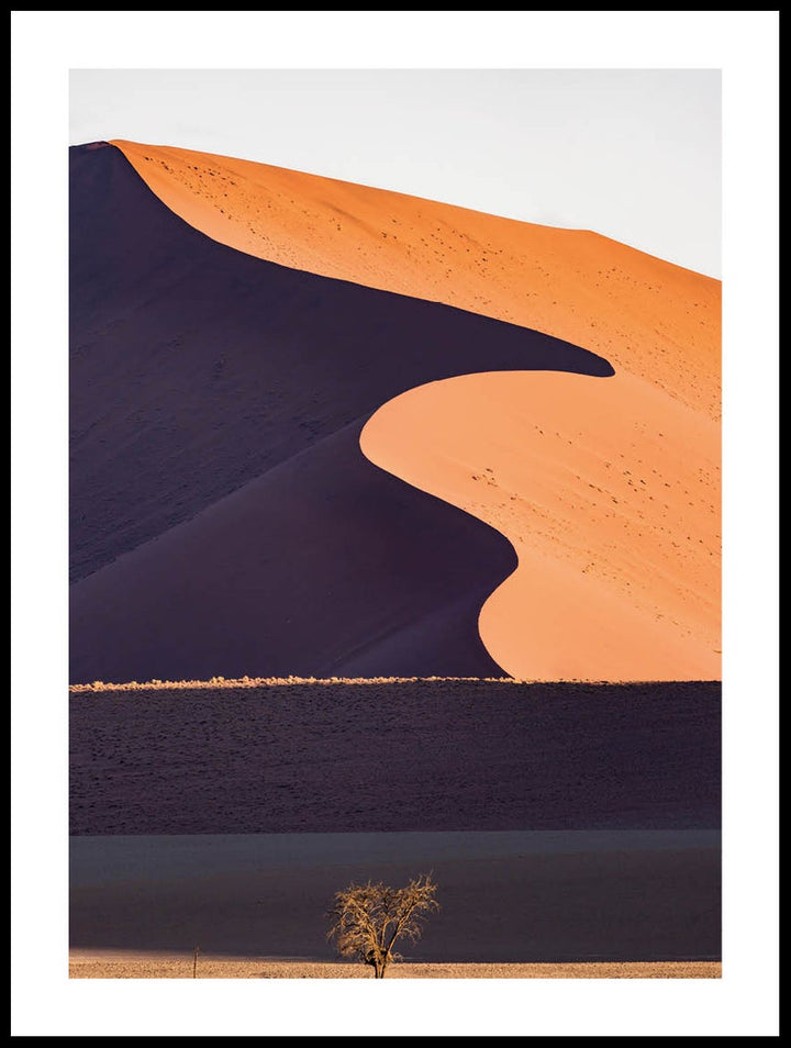 Sand Dunes Poster