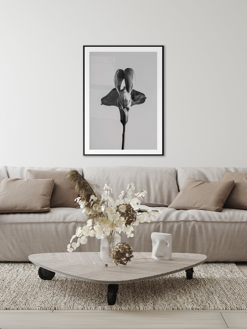 Black And White Flower Poster