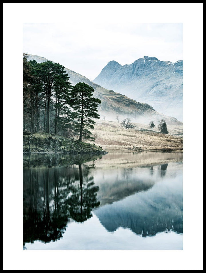 Trees Reflected In Calm Water Poster