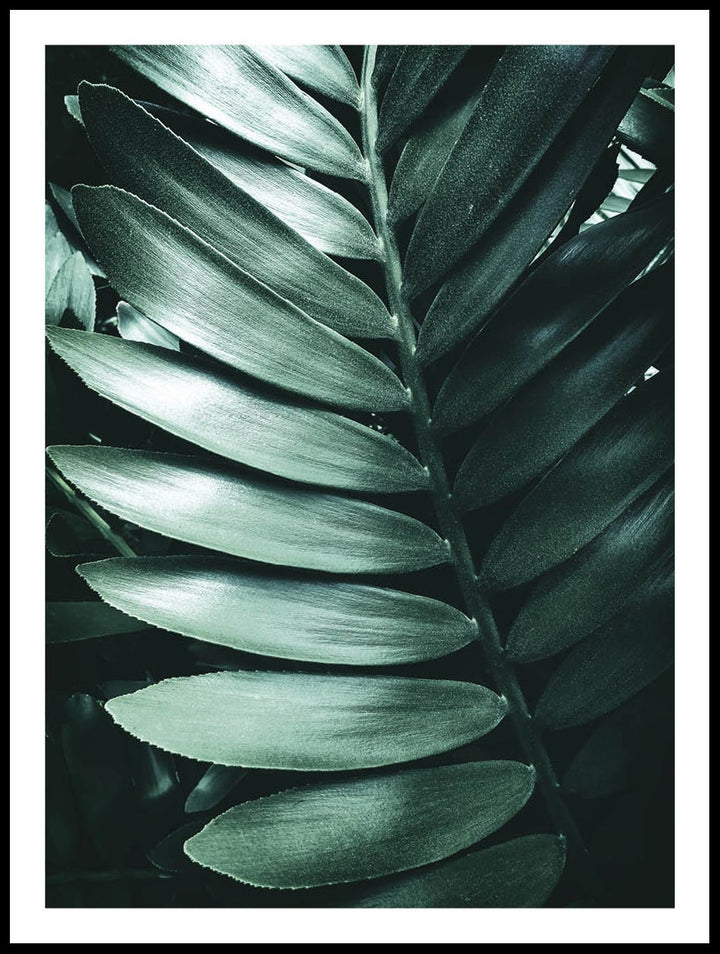 Tropical Leaves Poster