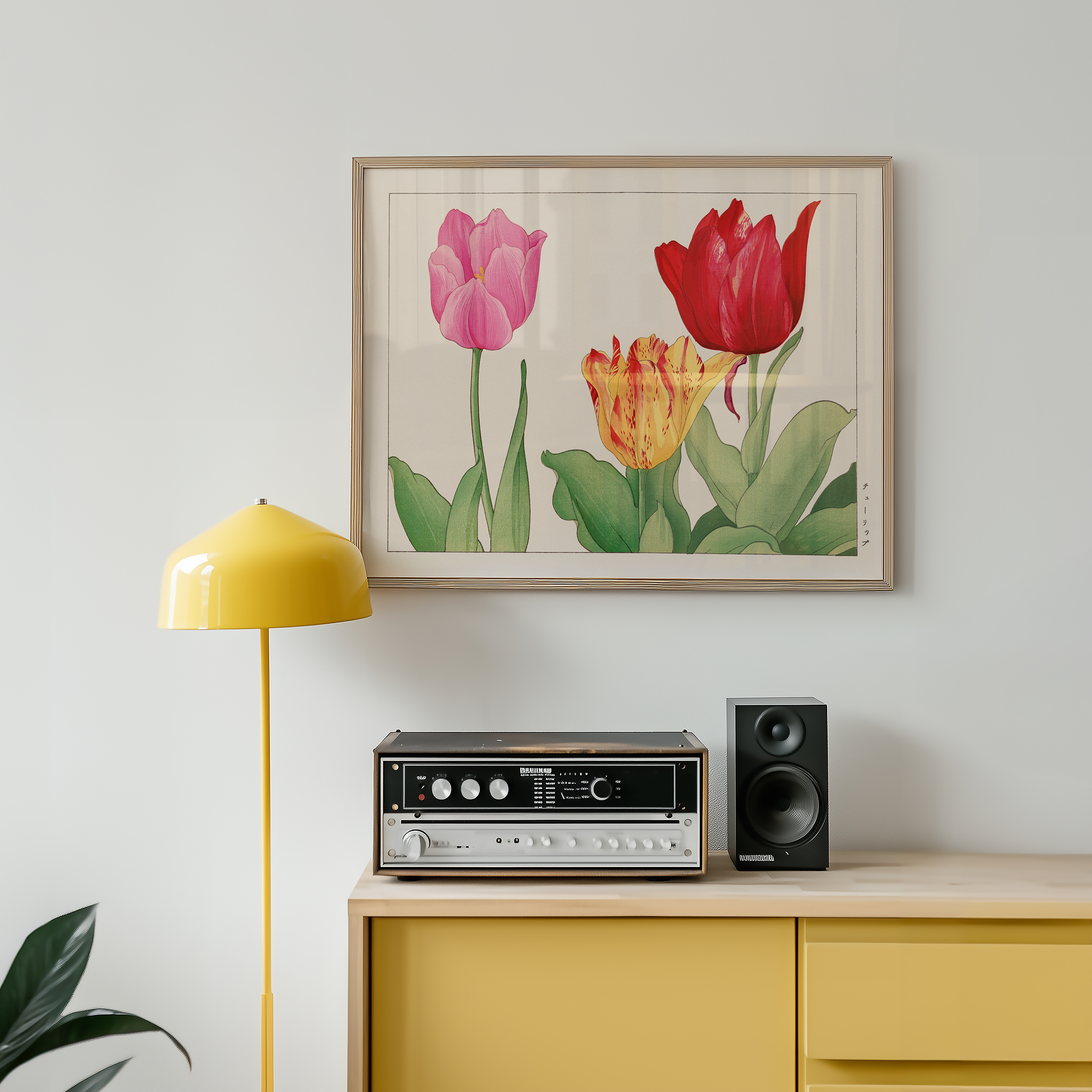 Tulip flower