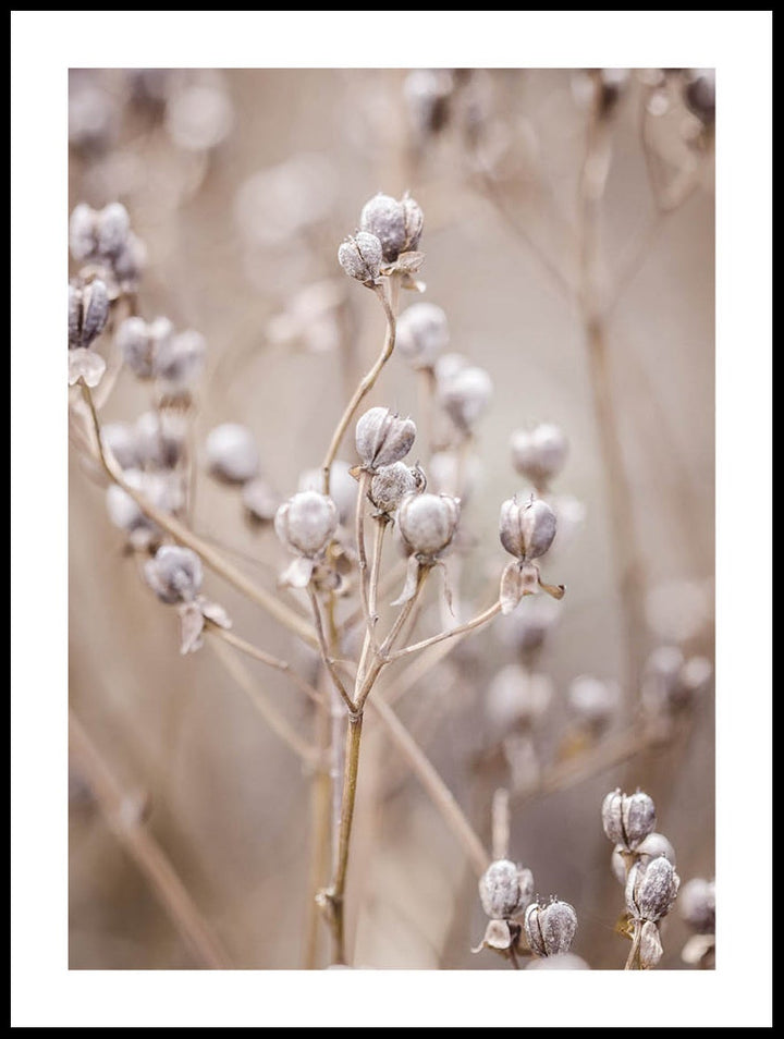 Beautiful Autumn Poster