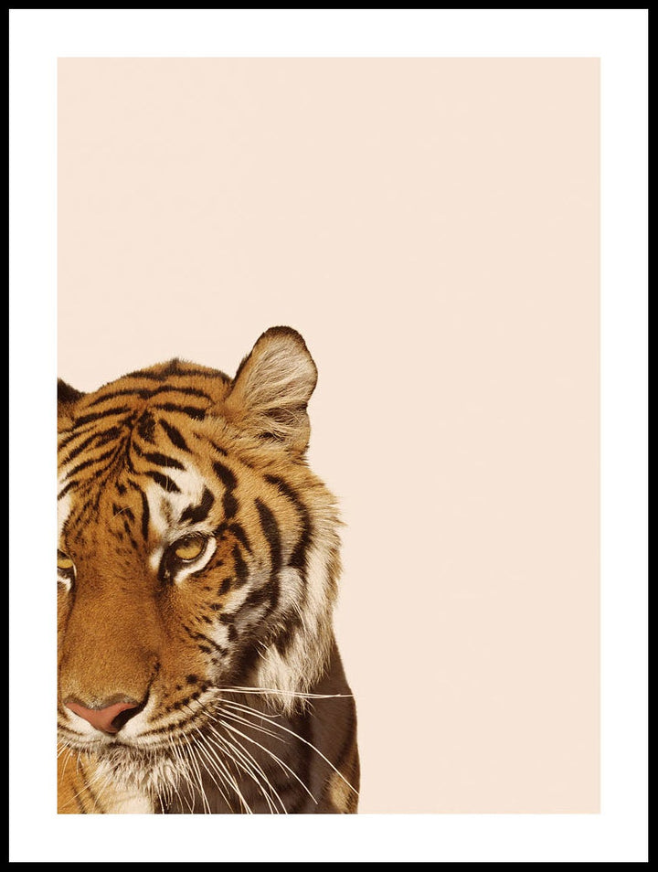 Beautiful Tiger Poster