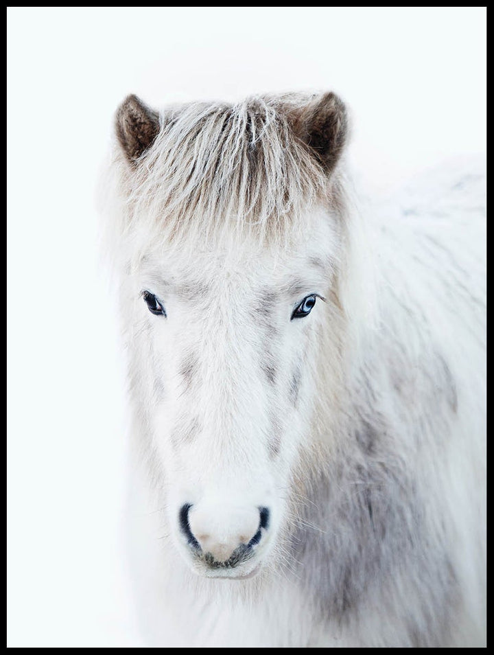 Winter Horse Poster