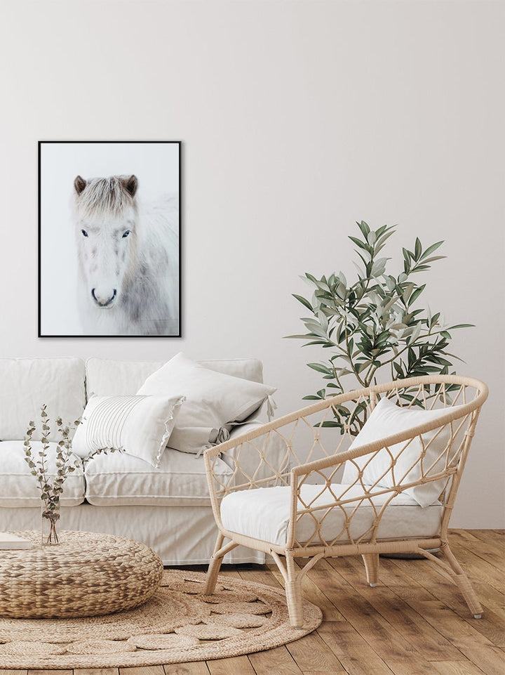 Winter Horse Poster