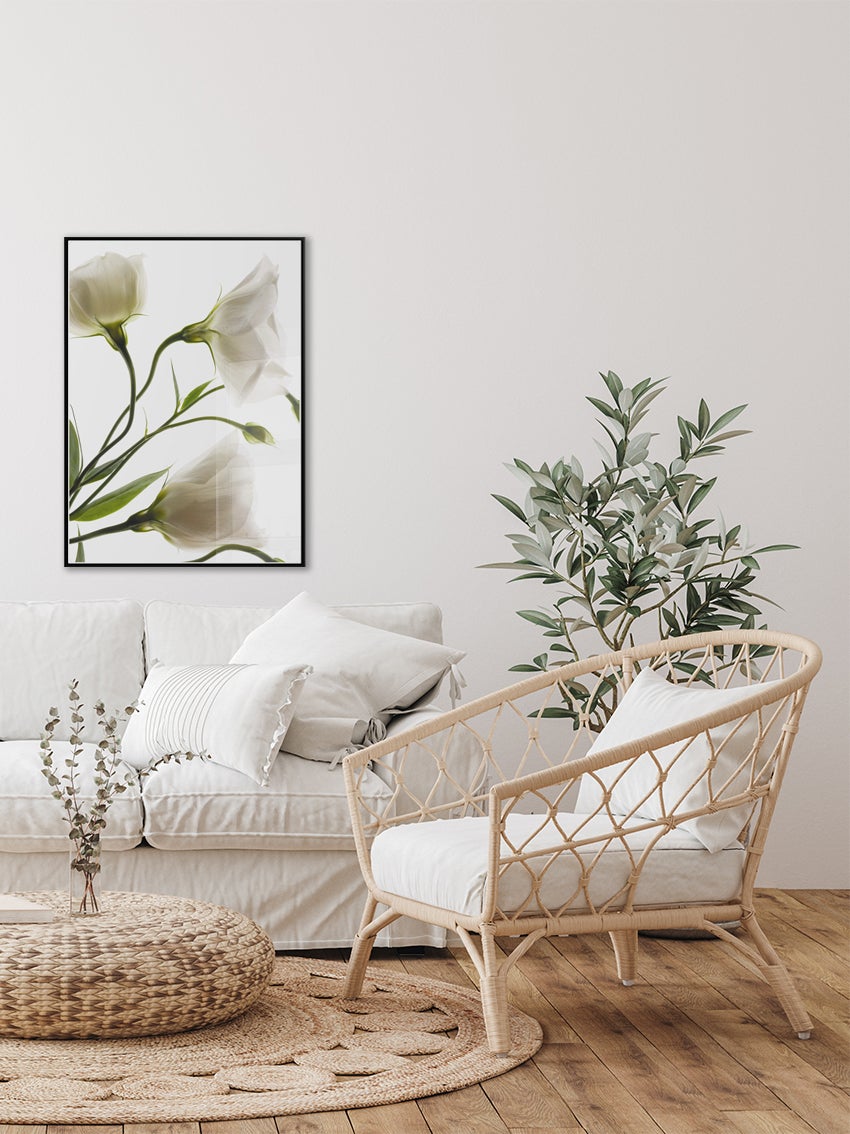 White Flowers Poster