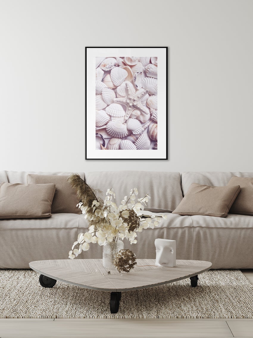 White Shells Poster