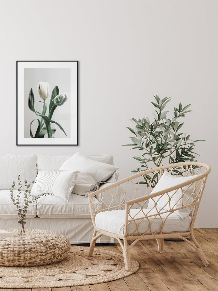 White Tulips Poster