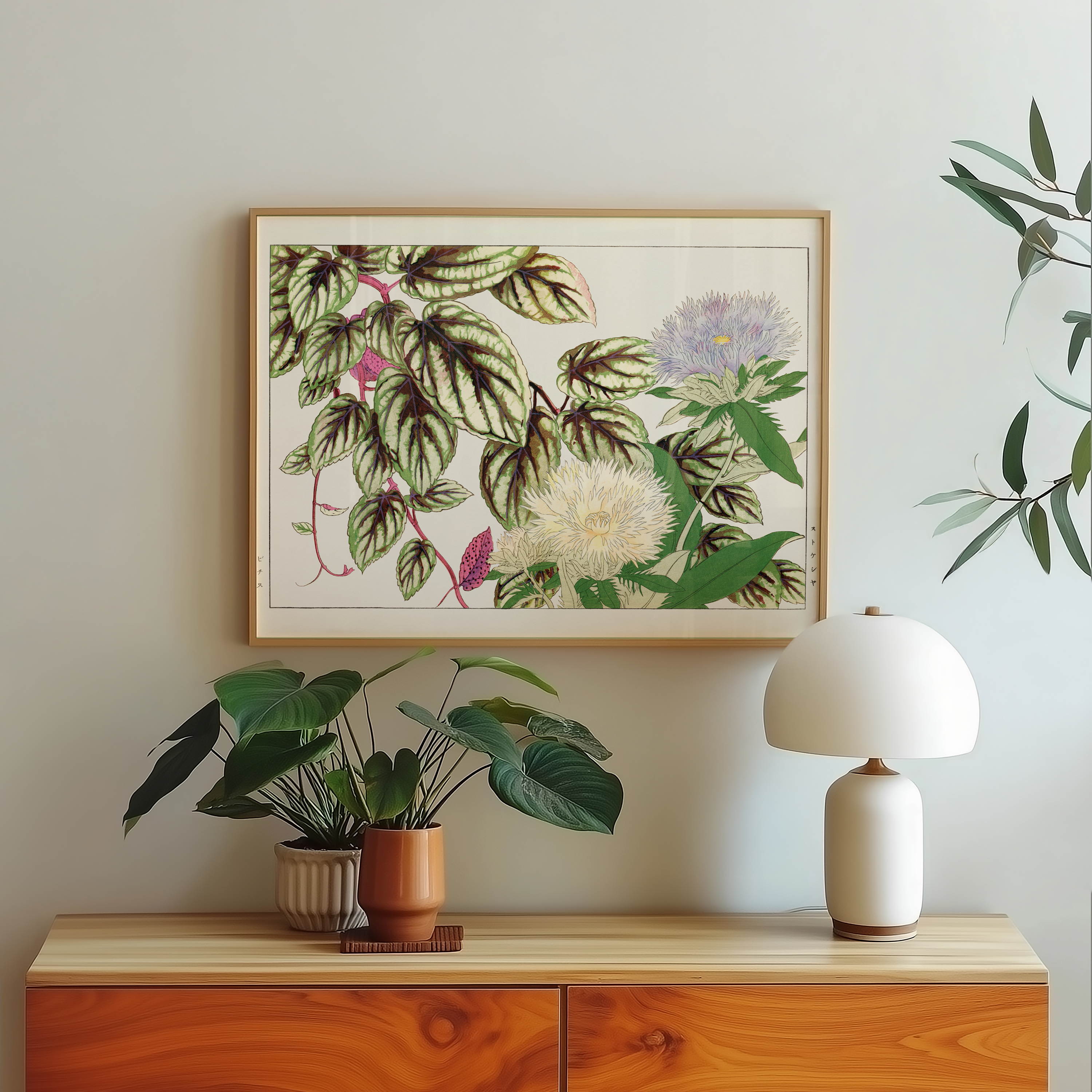 Vitis & Stokesia flower