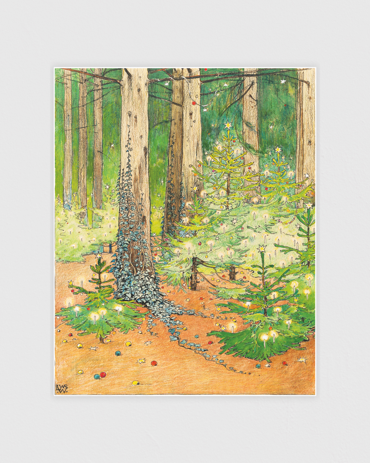 Forest with decorated and illuminated Christmas trees